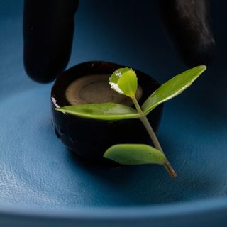 Aqua Crua - 3