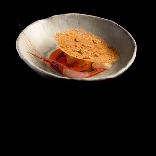 RavioXO - 5