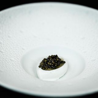 Kong Hans Kælder - 8
