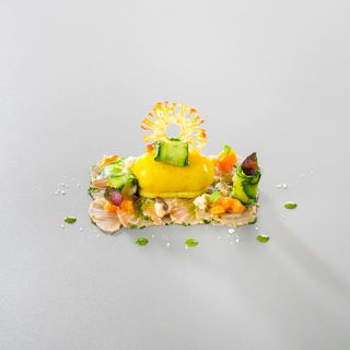 Bären - 3