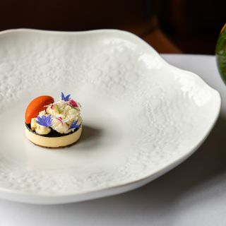 Fernery - 16