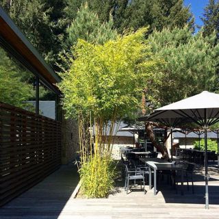 Les Jardins Sothys - 2