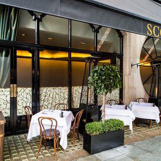 Scott's - 11
