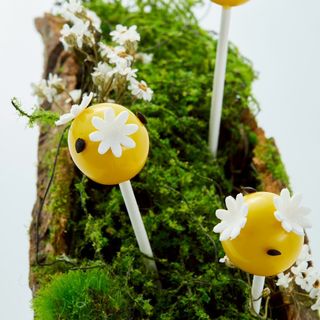 Fleur de Sel - 1