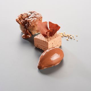 Bären - 4