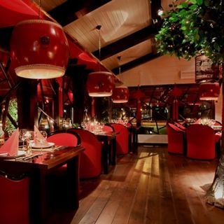 Red Chilli - 1
