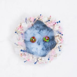 Cattaleya - 1