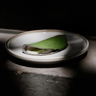 Molino El Pujol - 4