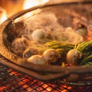 Luminosa - 1