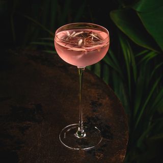 Kotuwa - 8