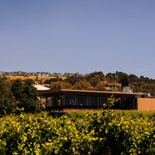 Magill Estate Restaurant - 1