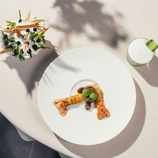 Restaurant Darwin - 2