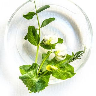 Piazzetta Milù - 7
