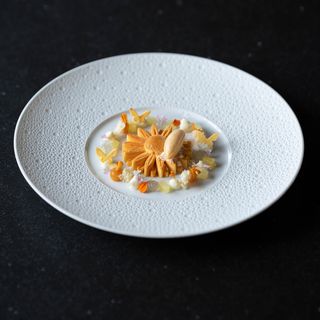 NOVO New Dining - 15