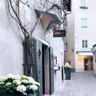 Vitis - Brixen - 7