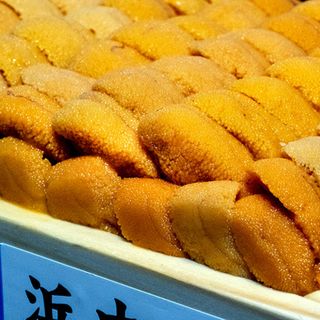 Yamaji Yosuke - 1