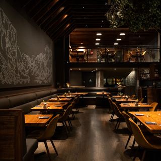 Lazy Bear - 7