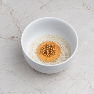 ESSENS - 8
