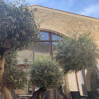 Le Patio by Lou Caléou - 4