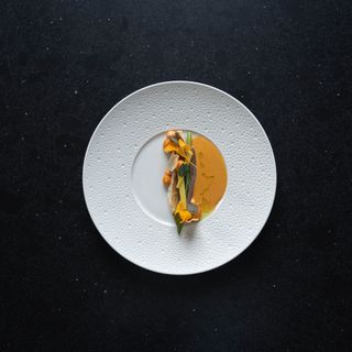 NOVO New Dining - 11