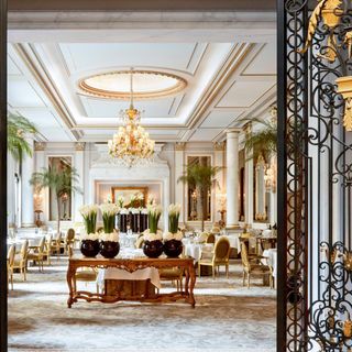 Le Cinq - 7