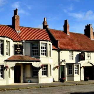 Bay Horse - 1