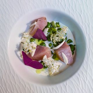 L'Artémisia - 6