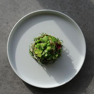 Palate - 5