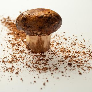 La Trota - 3
