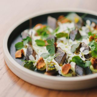 daróg - 4