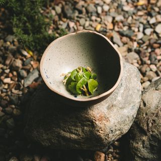 Olivea Farm to Table - 9