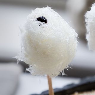 Pluriel' - 1
