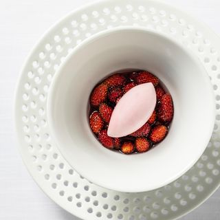 Jordnær - 31