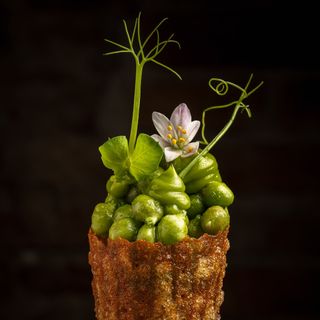 Brugarol Barcelona - 5
