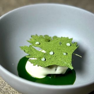 Nœud. TOKYO - 2