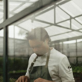 Coltivare - 4