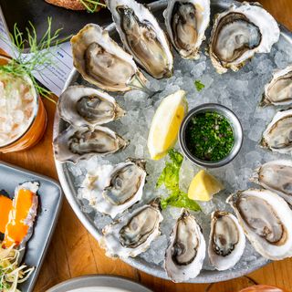 Hog Island Oyster Co. - 0