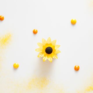 Trescha - 8