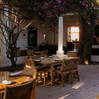 Criollo - Oaxaca - 6