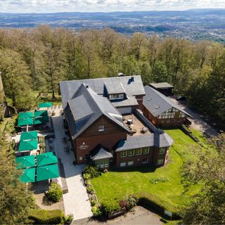 elfbuchen - 1
