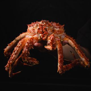 Coco Dining - 4
