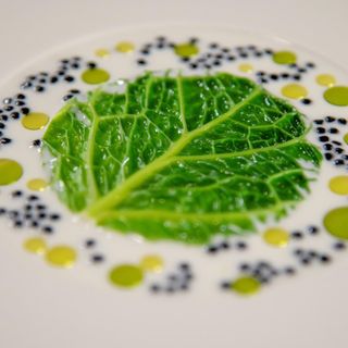 Duo Ristorante - 1