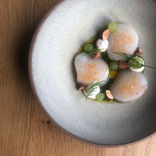 Black Radish - 0