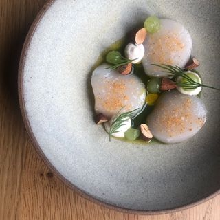 Black Radish - 5