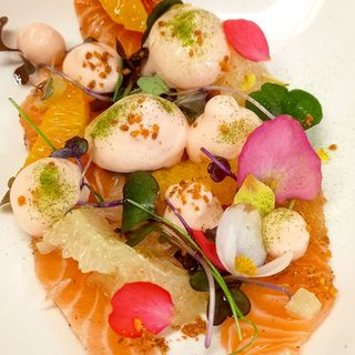 Octopus - 1