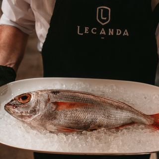 El Gran Asador Lecanda - 10