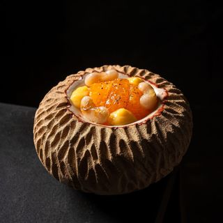 DIREKTE - 10