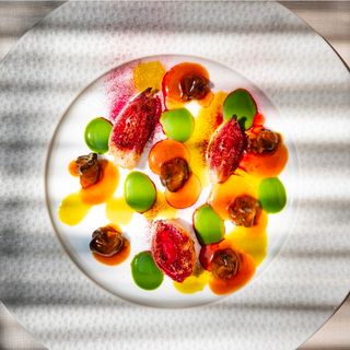 Bottega Aleotti - 5