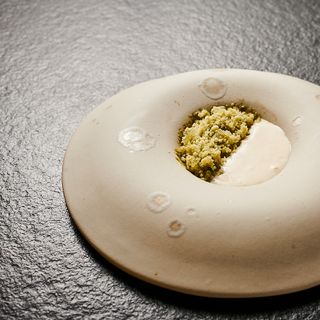 CEBO - 16