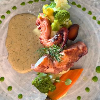 Loxalis - 2